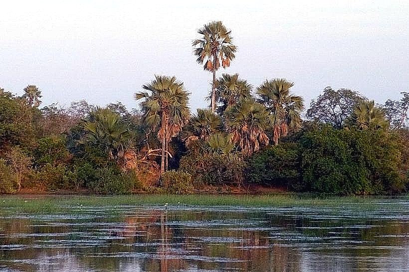 Niokolo-Koba National Park