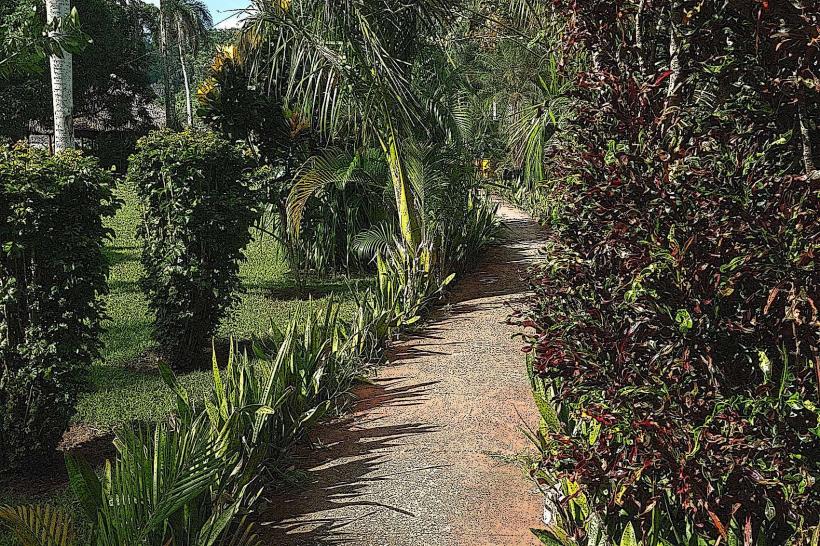 Isla de la Juventud Botanical Garden