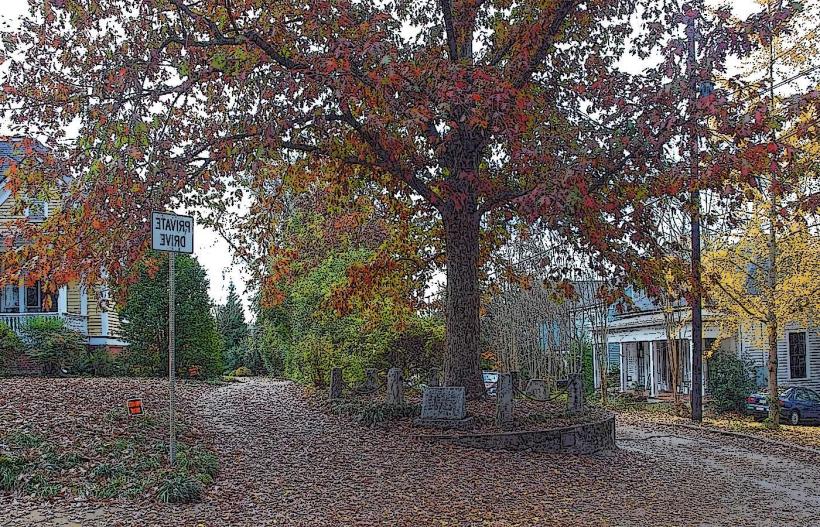 Tree That Owns Itself