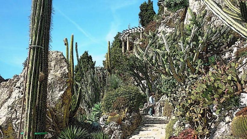 Jardin Exotique de Monaco