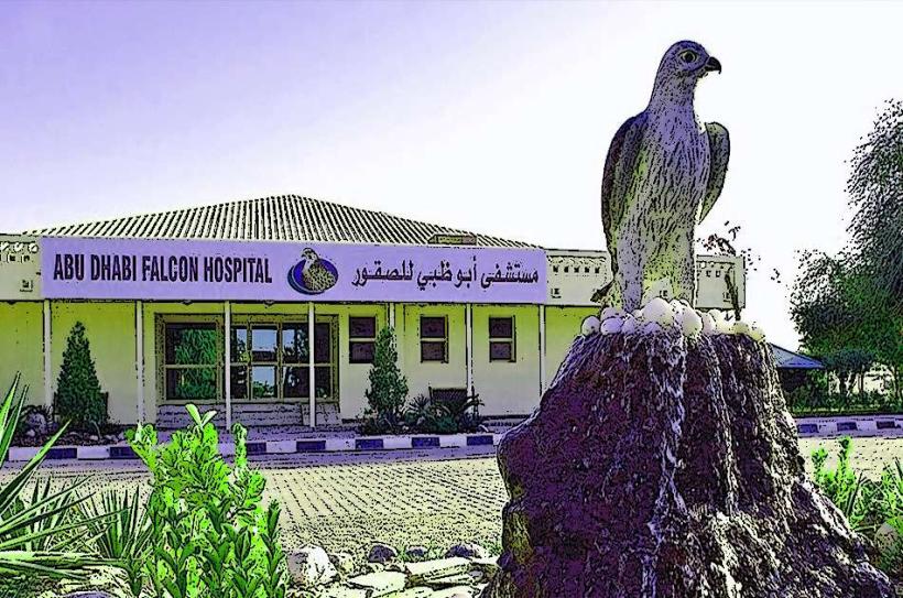 Abu Dhabi Falcon Hospital