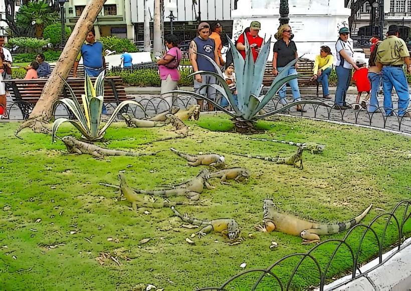 Parque de las Iguanas