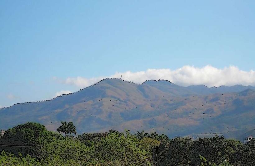 Cerro del Café