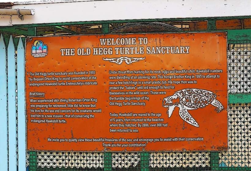 Old Hegg Turtle Sanctuary