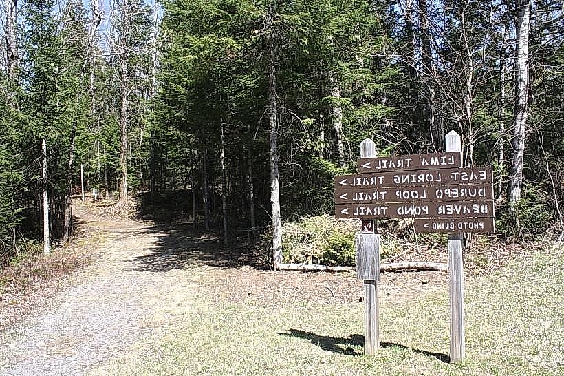 Aroostook National Wildlife Refuge