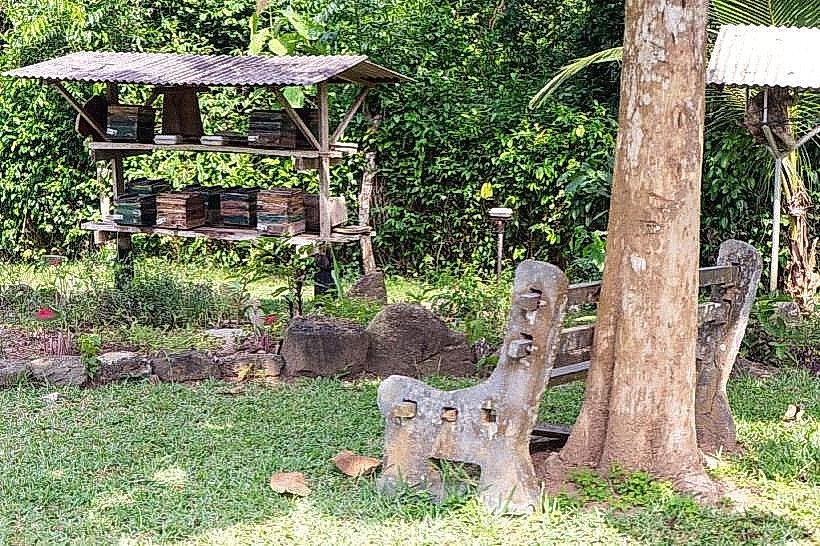 International Stingless Bee Centre