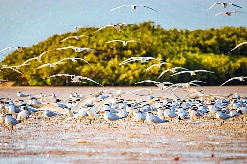 Somone Lagoon Reserve