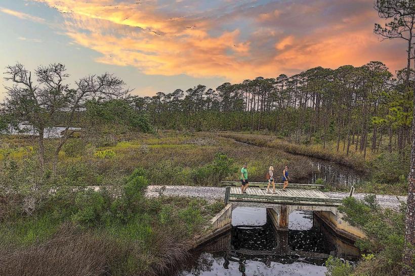 Bon Secour National Wildlife Refuge