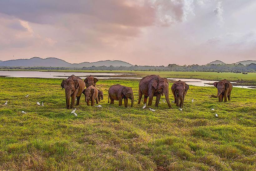 Maduru Oya National Park