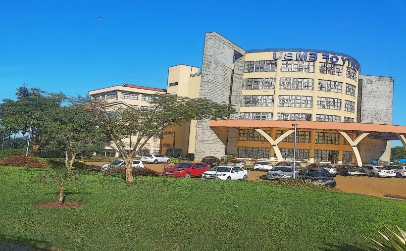 Embu University