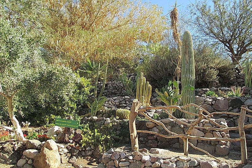 Eilat Botanical Garden