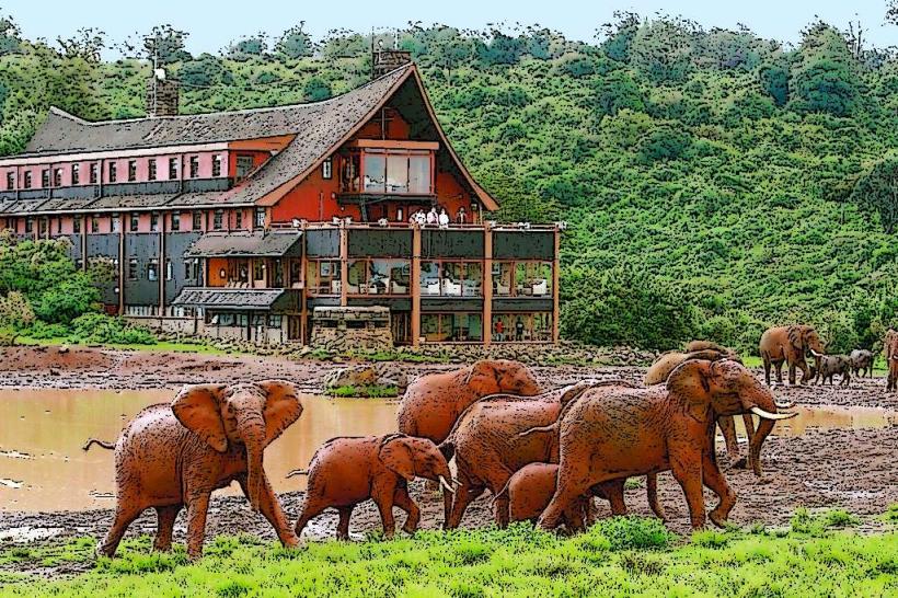 Aberdare National Park