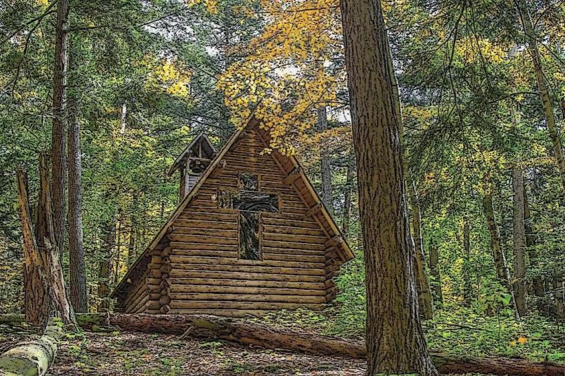 Hartwick Pines State Park