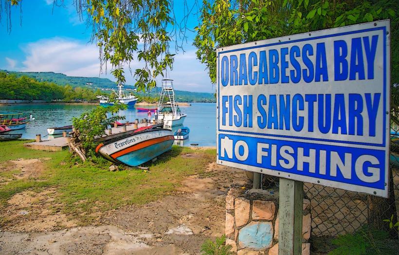 Oracabessa Bay Fish Sanctuary