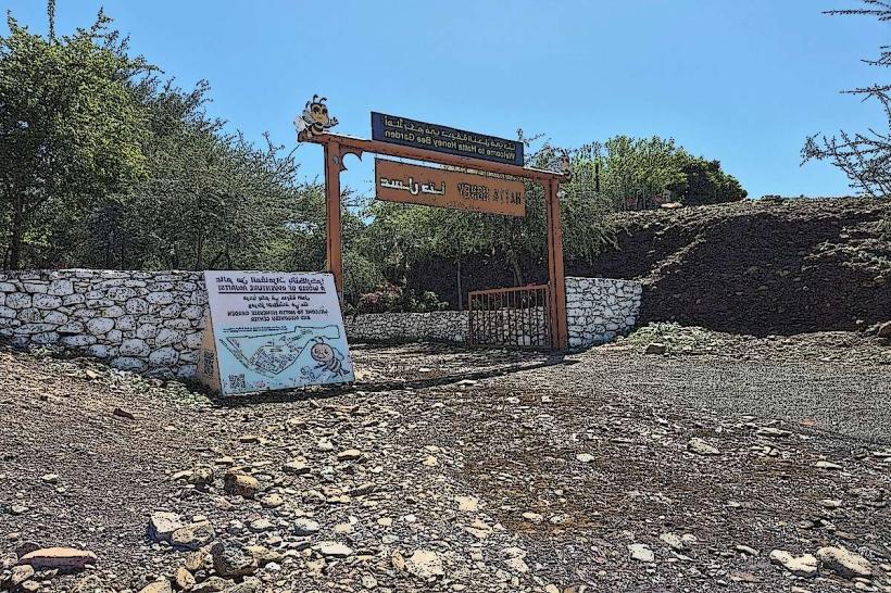 Hatta Honeybee Garden