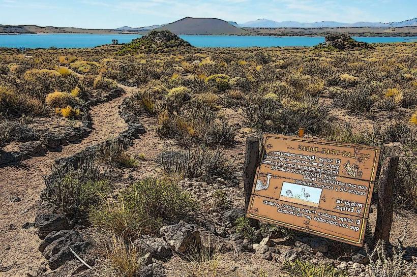 Laguna Blanca National Park
