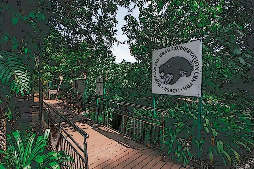 Bornean Sun Bear Conservation Centre