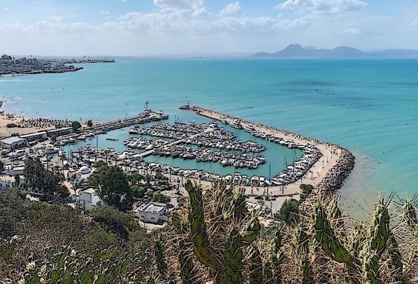 Sidi Bou Said Marina