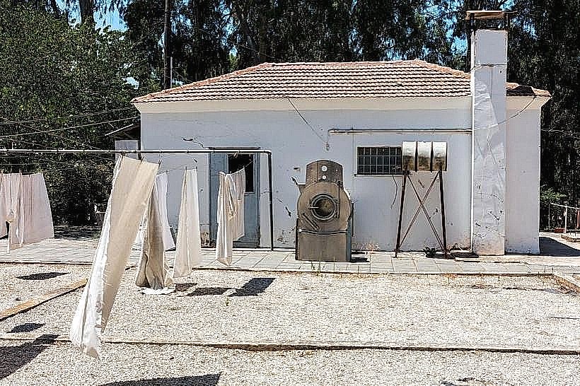 Ayalon Institute