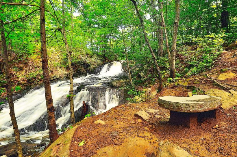 Fore River Sanctuary