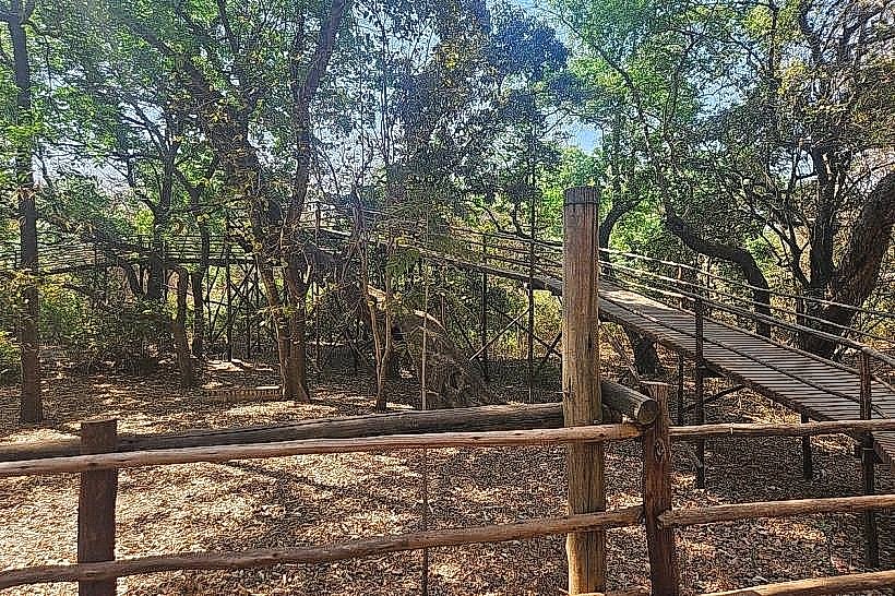 Lilongwe Nature Sanctuary