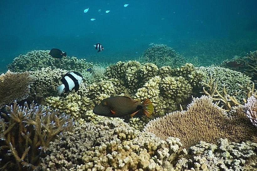 Palolo Deep Marine Reserve