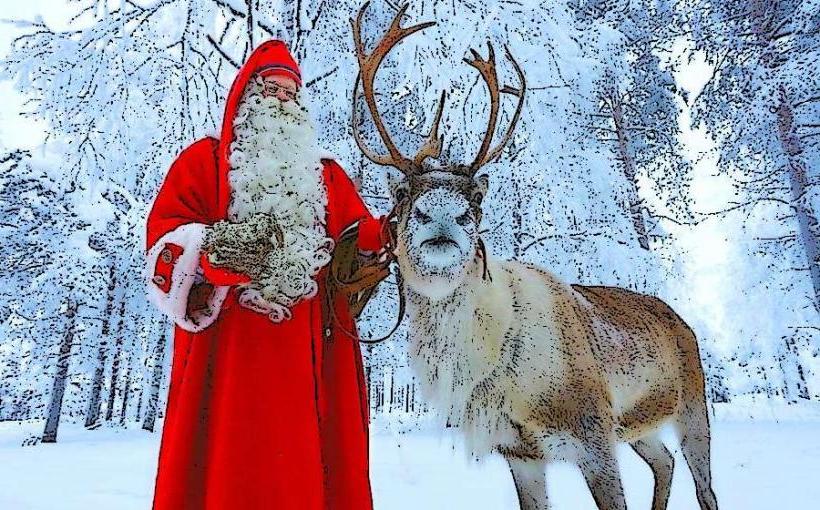 Santa Claus Reindeer