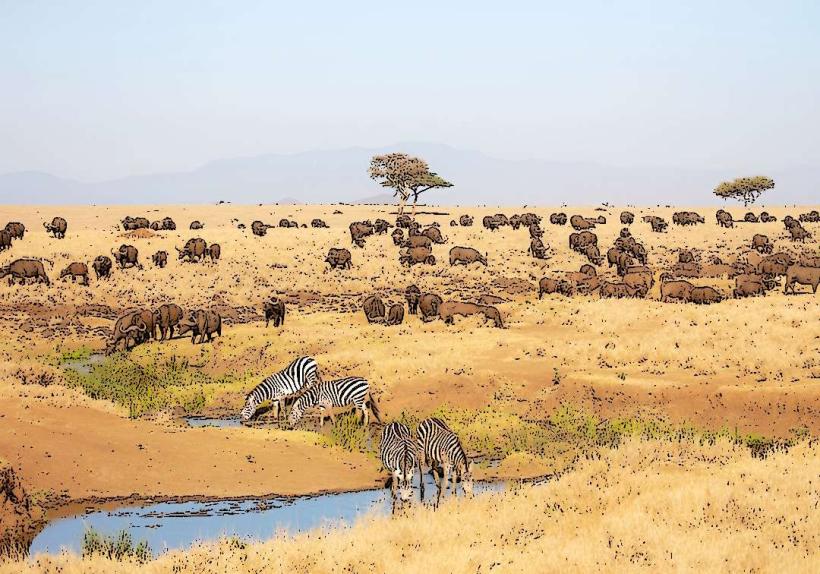 Lewa Wildlife Conservancy
