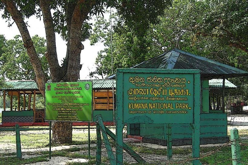 Kumana National Park