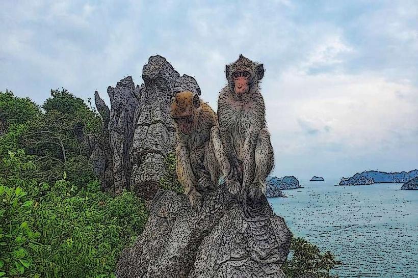 Monkey Island