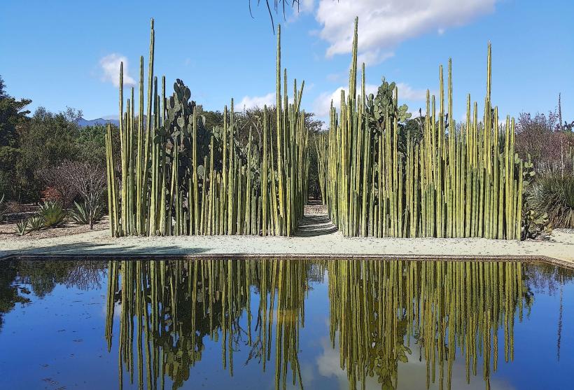 Oaxaca Ethnobotanical Garden