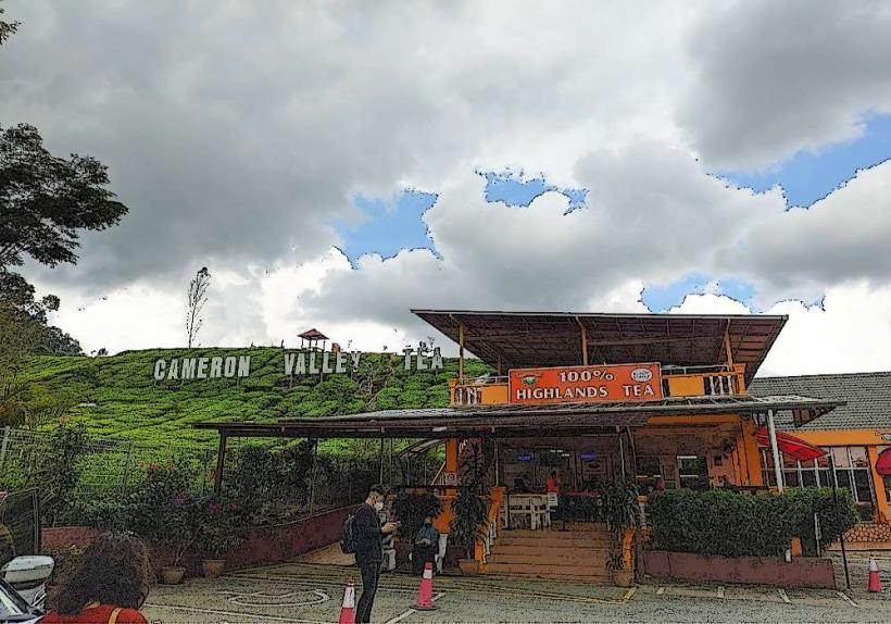 Cameron Valley Tea House