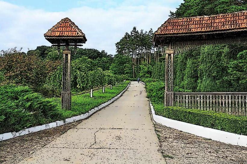 Codru Forest Reserve