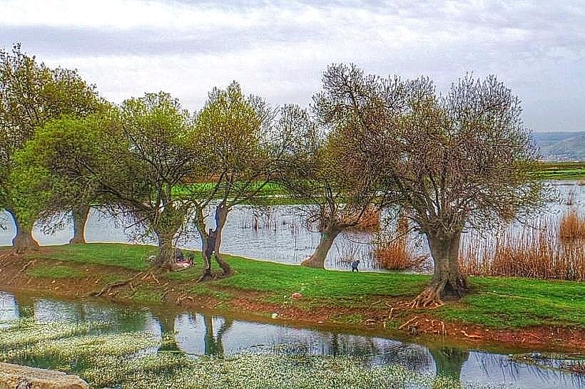 Aammiq Wetland
