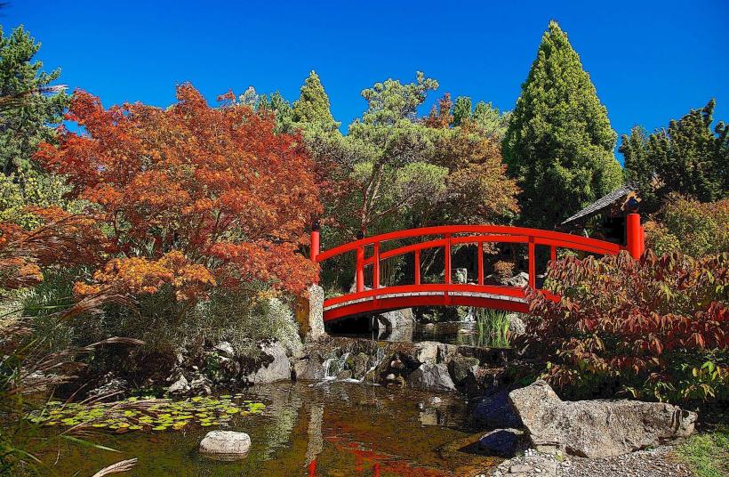 Royal Tasmanian Botanical Gardens