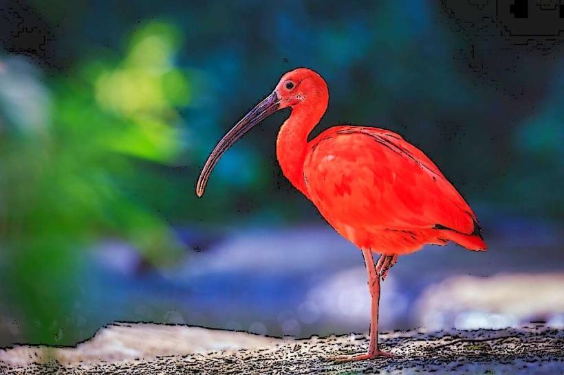Reserva de Biosfera de los Llanos
