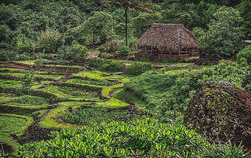Limahuli Garden and Preserve