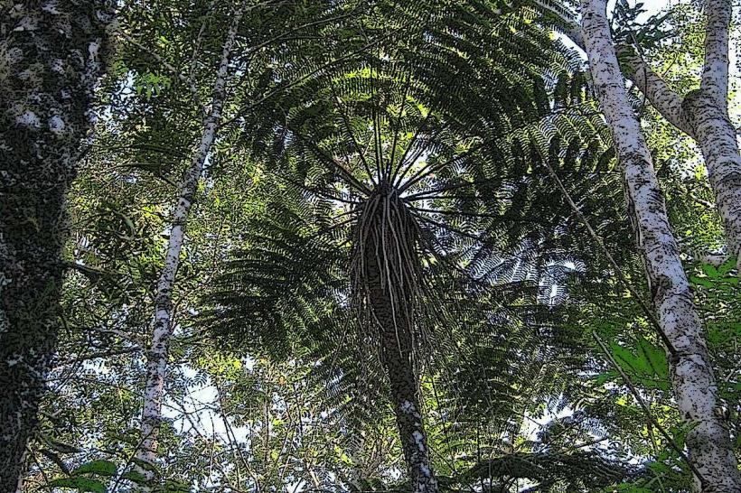 Parc national naturel de Grande Colline