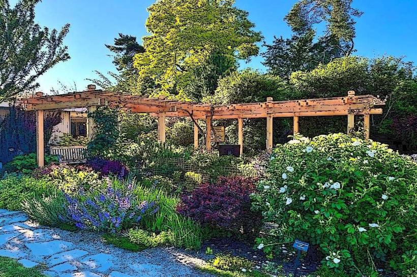Bellevue Botanical Garden