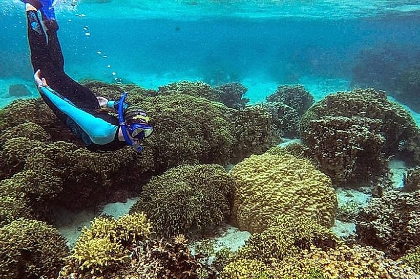 Deep Lagoon Snorkeling Areas