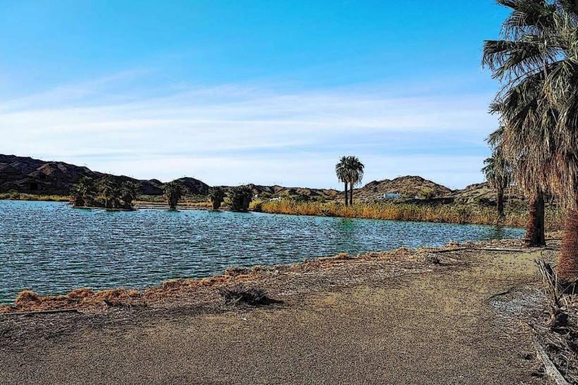 Mittry Lake Wildlife Area