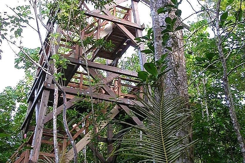 Falealupo Canopy Walkway