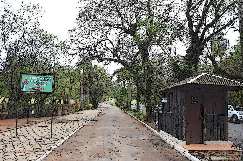 Botánico de Asunción