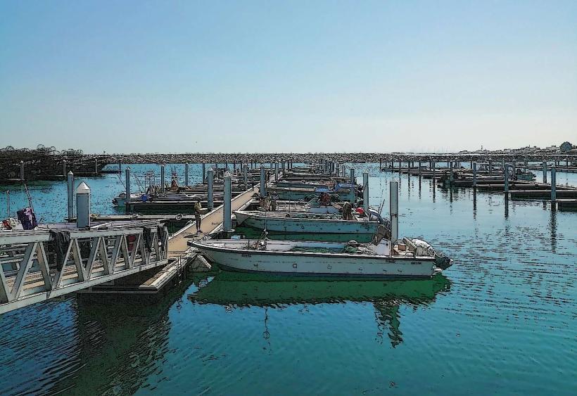 UAQ Marina