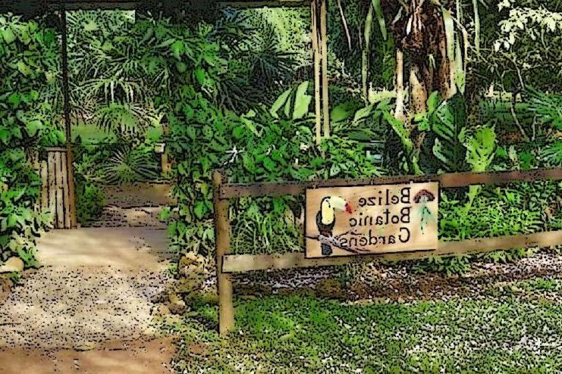 Belize Botanic Gardens