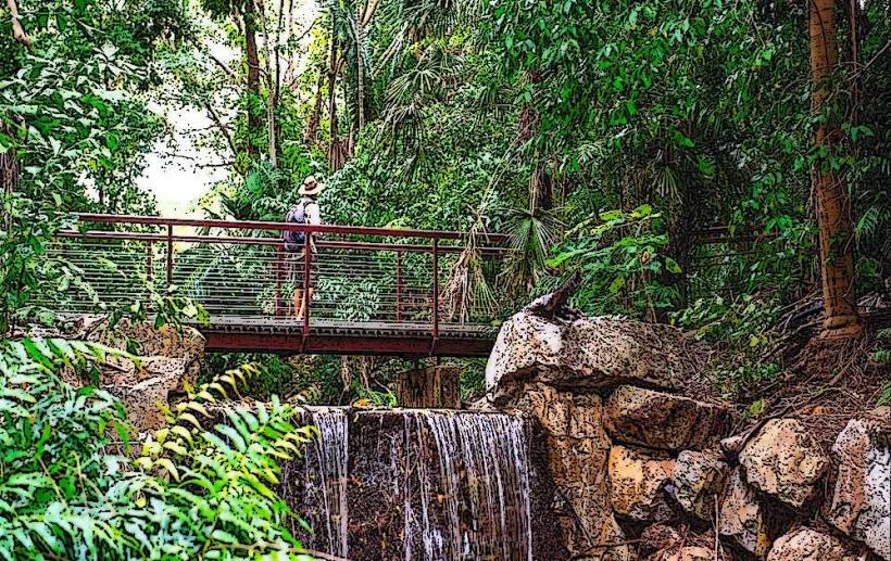 George Brown Darwin Botanic Gardens