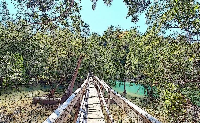 Curu Wildlife Refuge