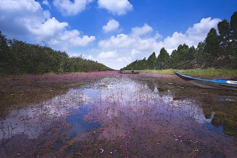 Tram Chim National Park