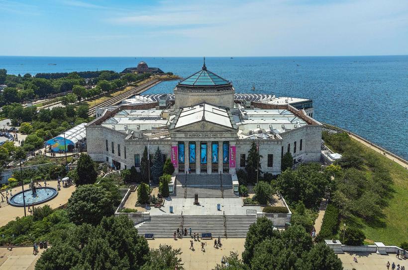Shedd Aquarium