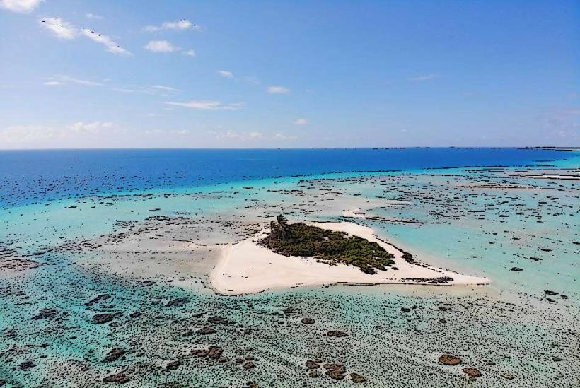 Tikehau Picnic Island